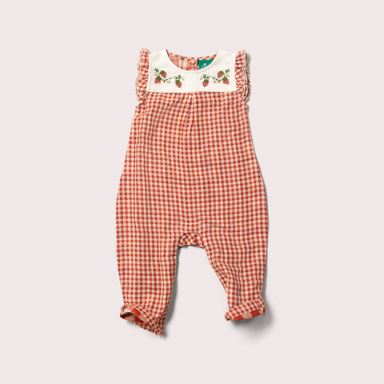 Little Red Checked Frill Summer Romper - Little Green Radicals